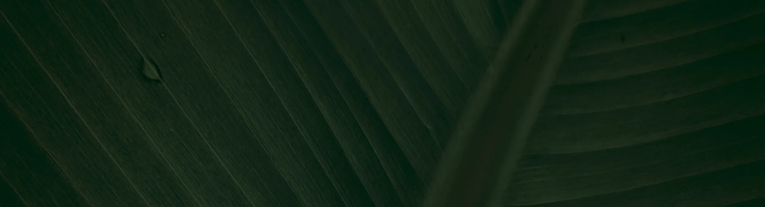 Elephant Handoven Bags